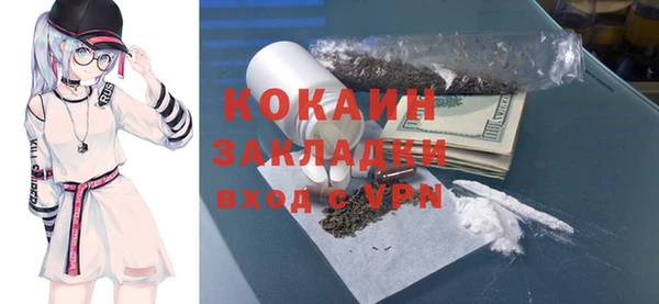 ГАЛЛЮЦИНОГЕННЫЕ ГРИБЫ Аркадак