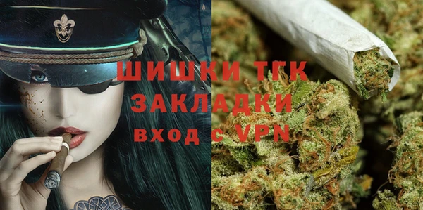ГАЛЛЮЦИНОГЕННЫЕ ГРИБЫ Аркадак