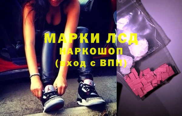 ГАЛЛЮЦИНОГЕННЫЕ ГРИБЫ Аркадак