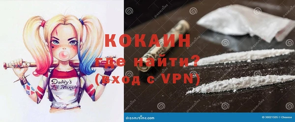 ГАЛЛЮЦИНОГЕННЫЕ ГРИБЫ Аркадак