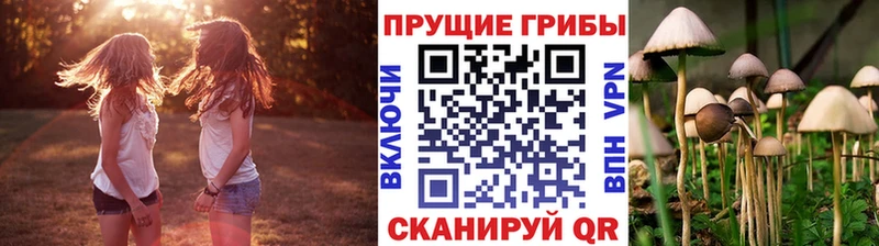 Галлюциногенные грибы Magic Shrooms  Купить  Покров 